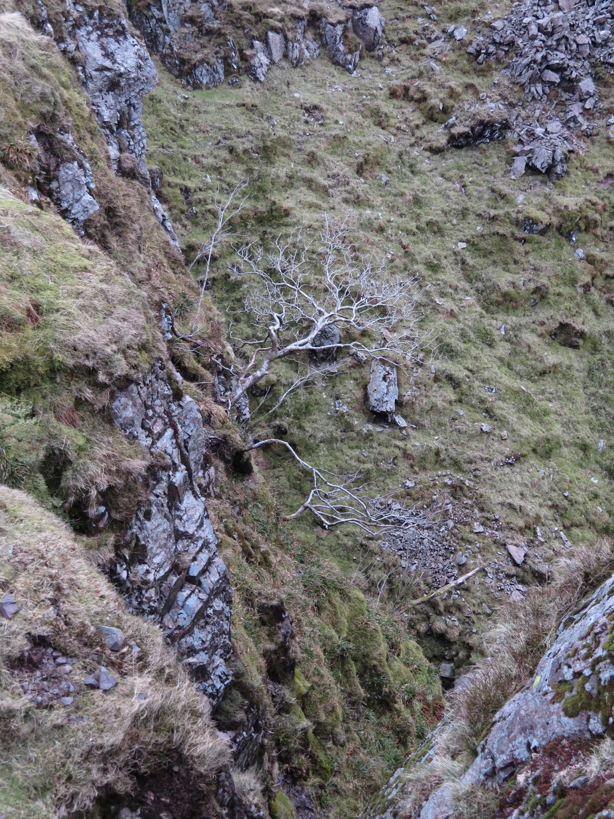    Piers Gill