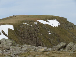 Red Pike
