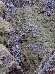    Piers Gill