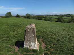  Torrisholme, 41