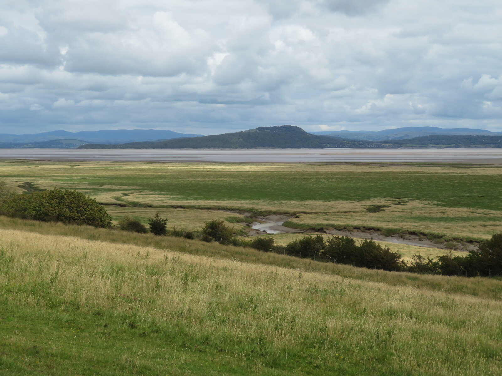      Arnside Knott