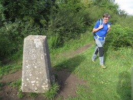   Warton Crag