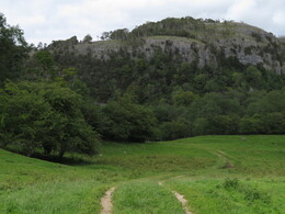 Whitbarrow Scar