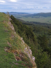 Scaut Scar