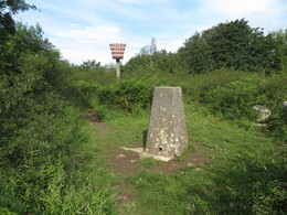   Warton Crag