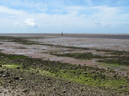 Plover Scar lighthouse