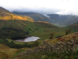Brea tarn