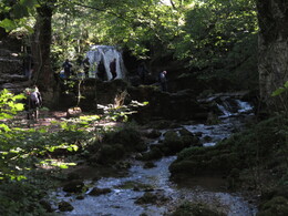 Janets foss