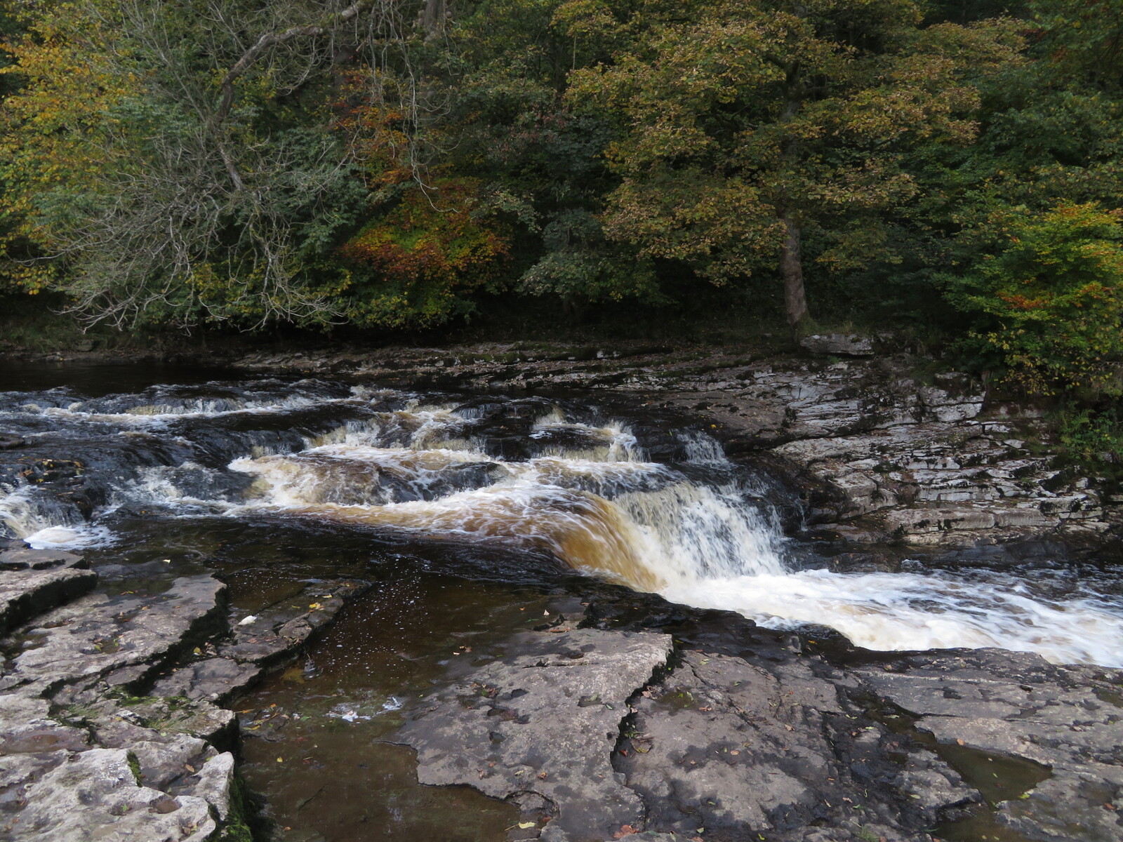 Stainforth Force