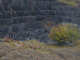 Dry Rigg querry
