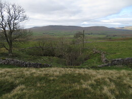 Jackdaw hole