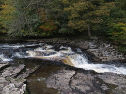 Stainforth Force