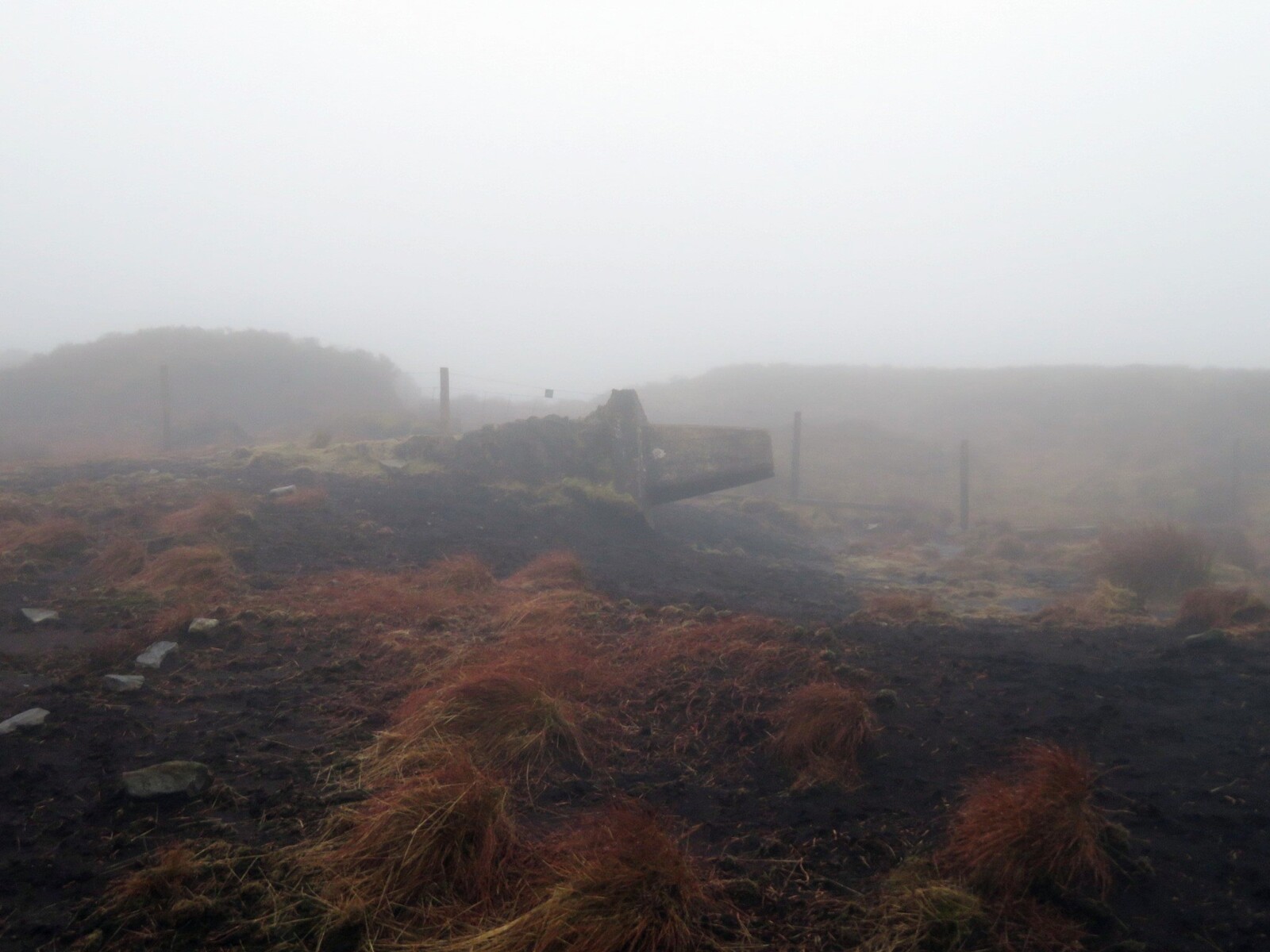 Fell Top (478m).     