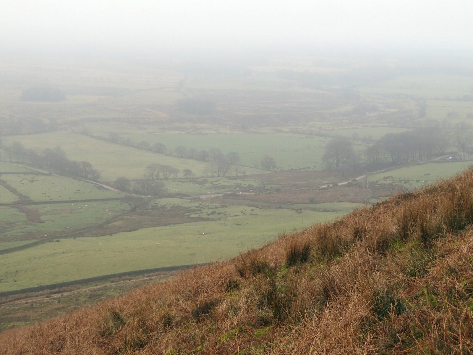    ,  River Brock