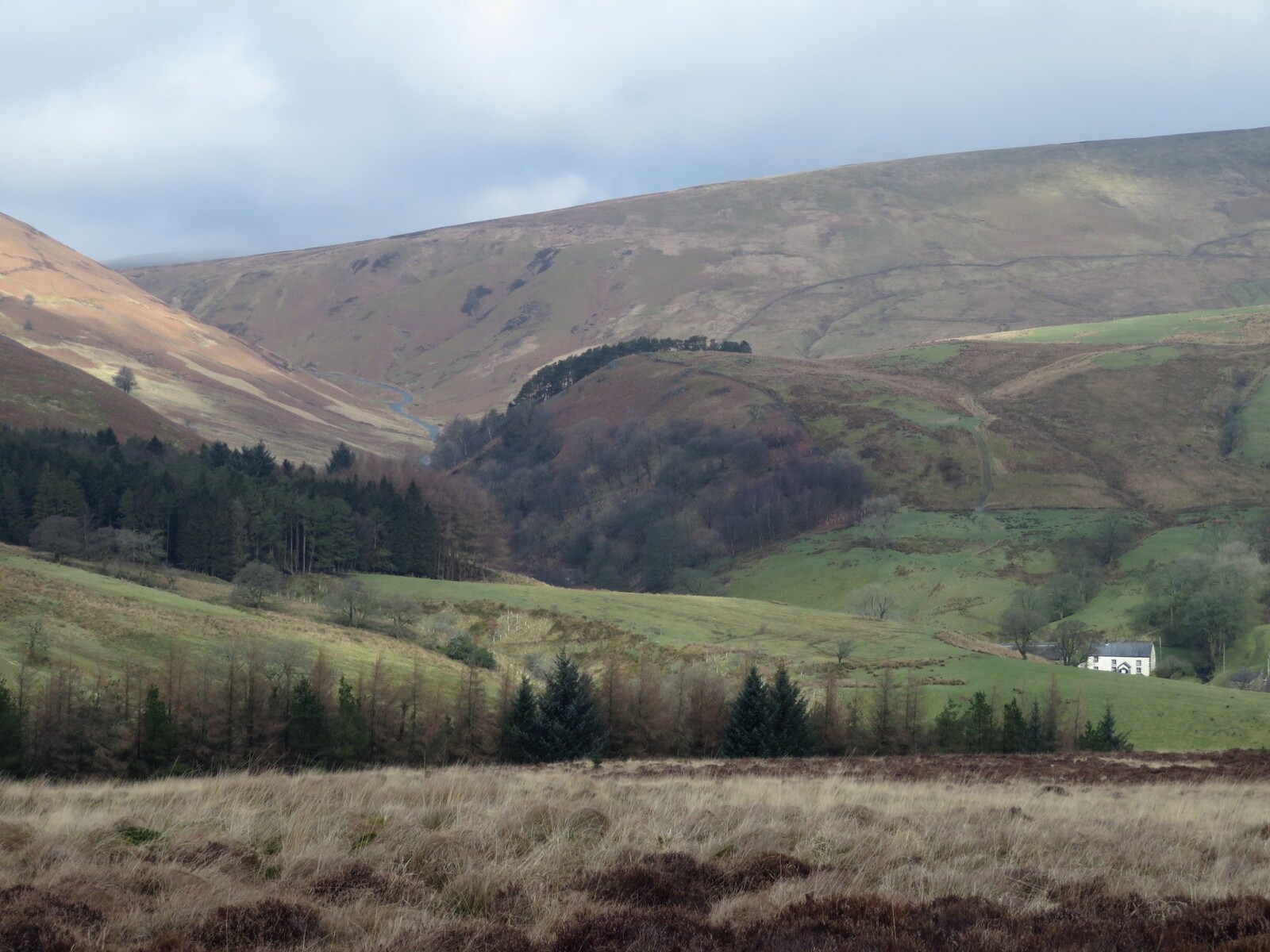    Trough of Bowland
