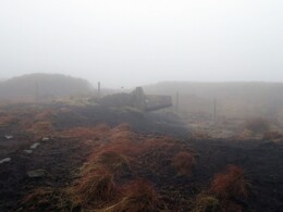  Fell Top (478m).     
