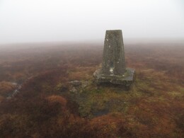  Hazelhurst Fell (429m)