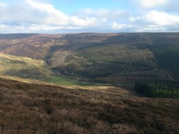   Dunsop