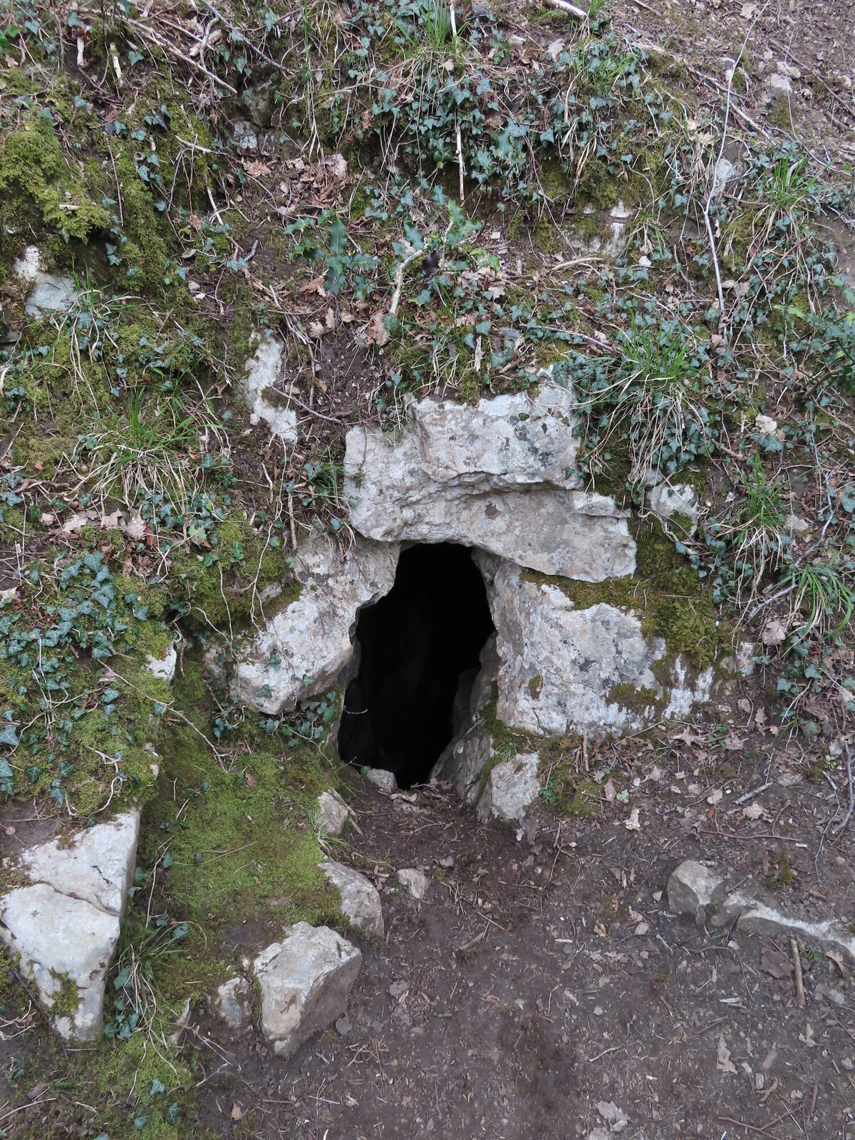 Harry Hest Hole