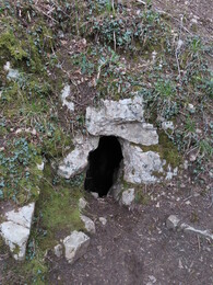 Harry Hest Hole