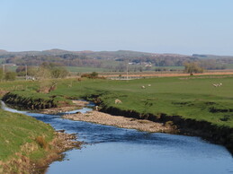  Ribble