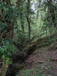    Tun Brook