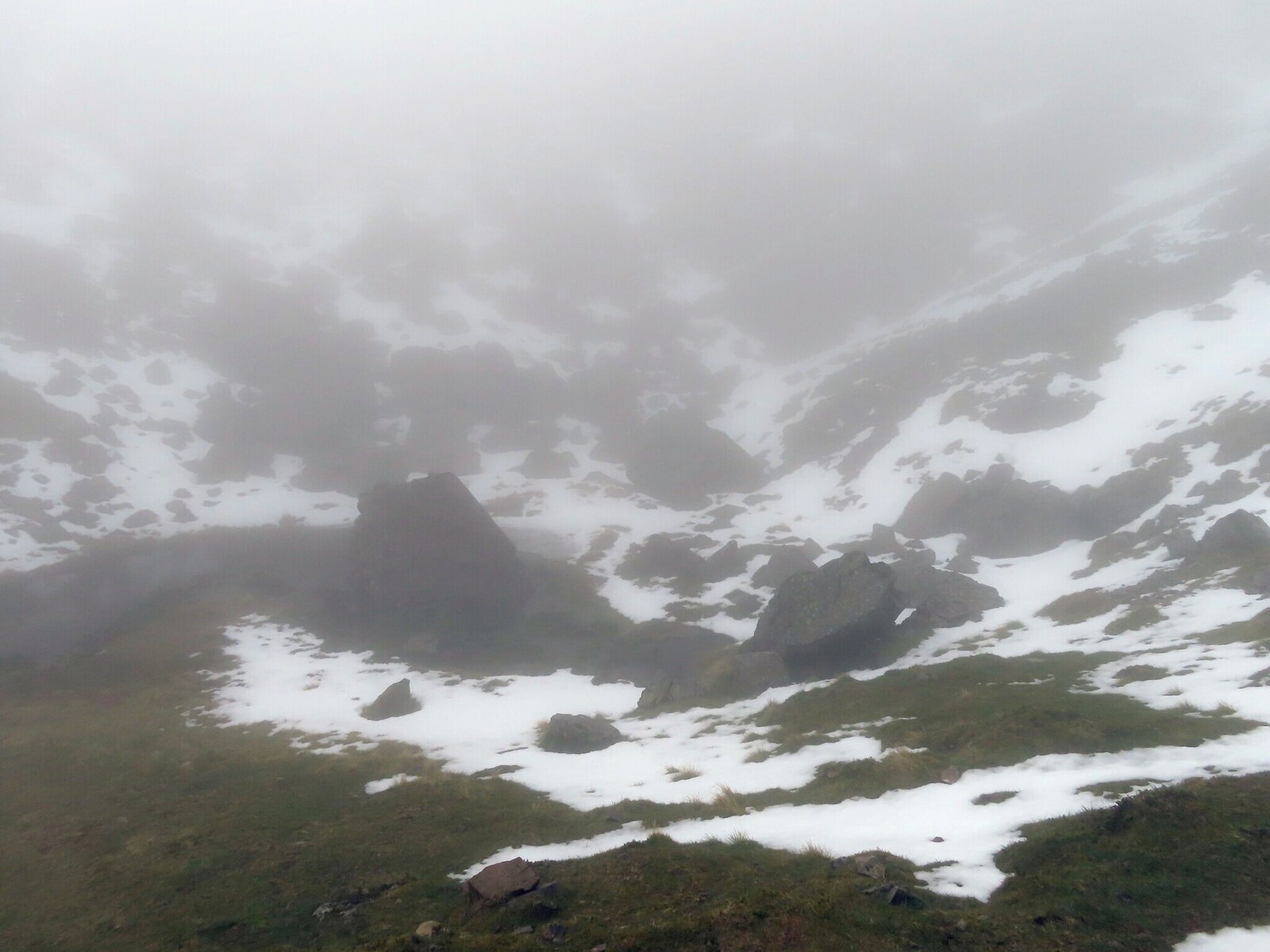 Foxes tarn