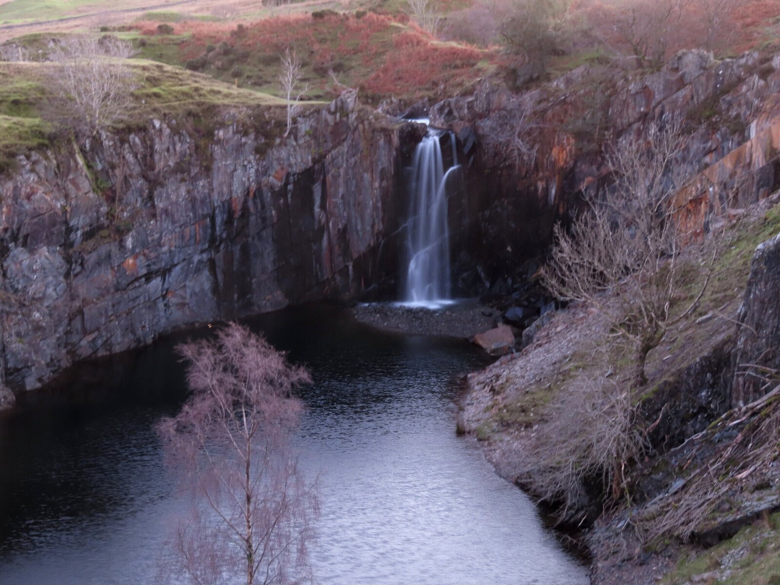       .Torver Beck