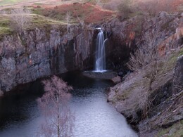       .Torver Beck