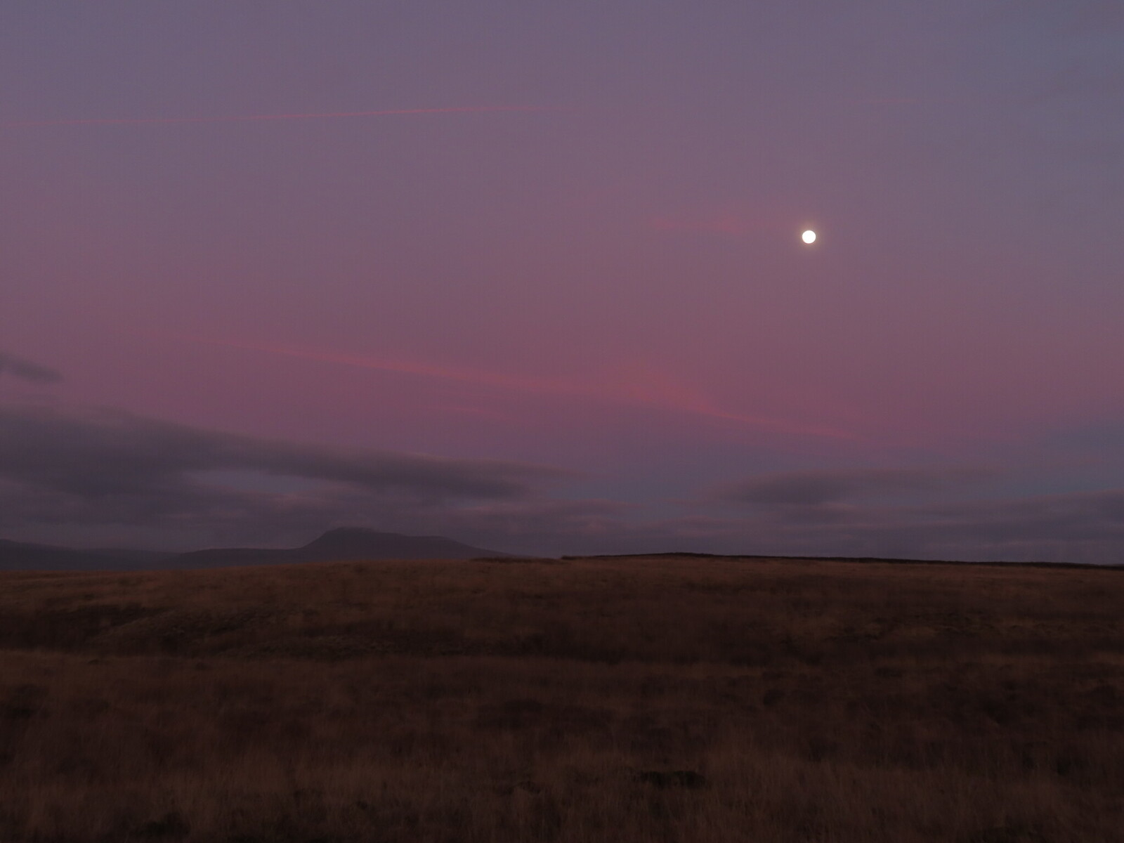  Ingleborough  