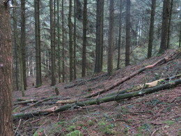     Beacon Fell