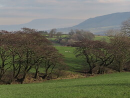   Pendle Hill,  -  Longridge Fell