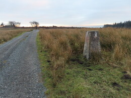 Spire Farm, 294m