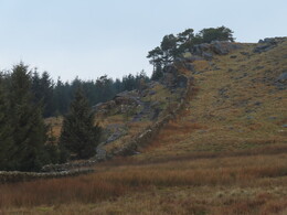  Whelpstone Crag, 