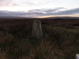 White Moss, 245m