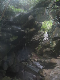 Short gill