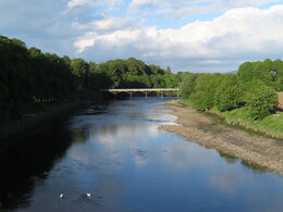  Ribble