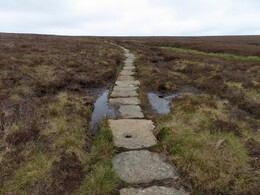 Penine way