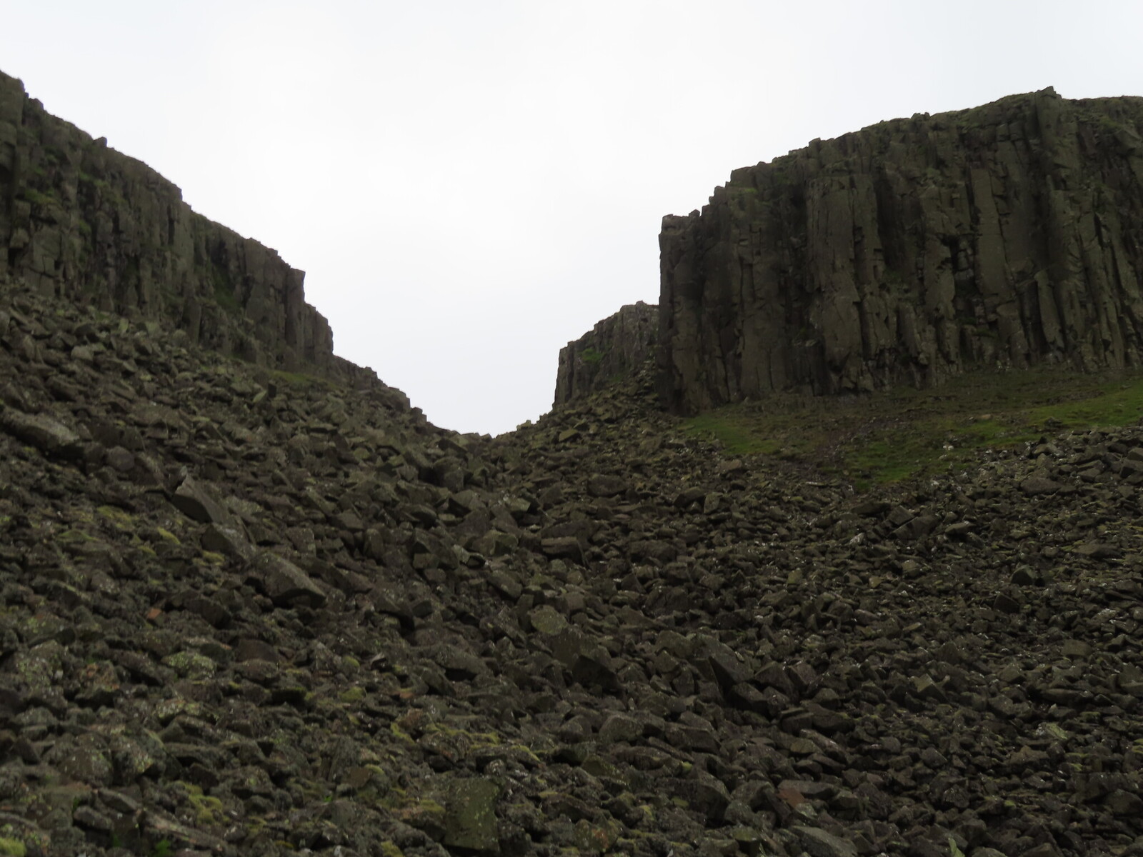   High Cup Scar