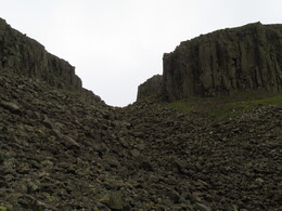   High Cup Scar