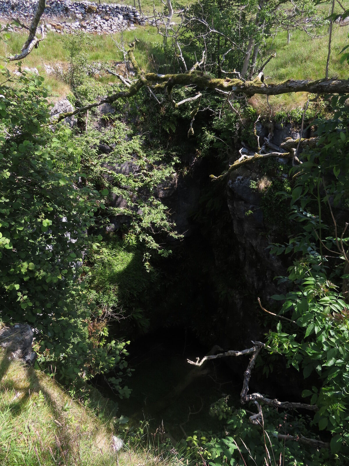 Jackdaw hole
