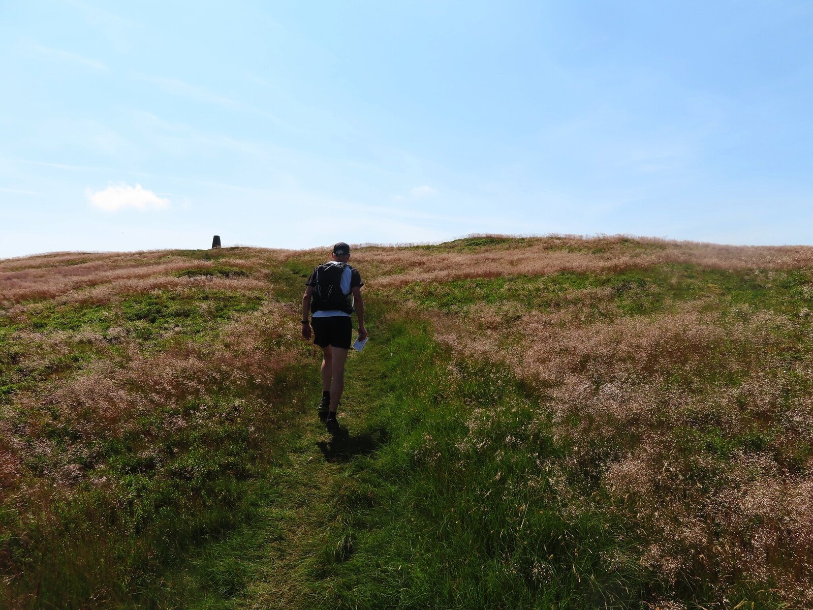 Park fell (563)