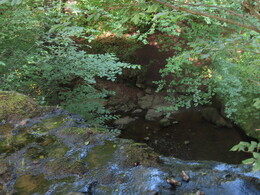Scaleber force