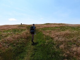 Park fell (563)