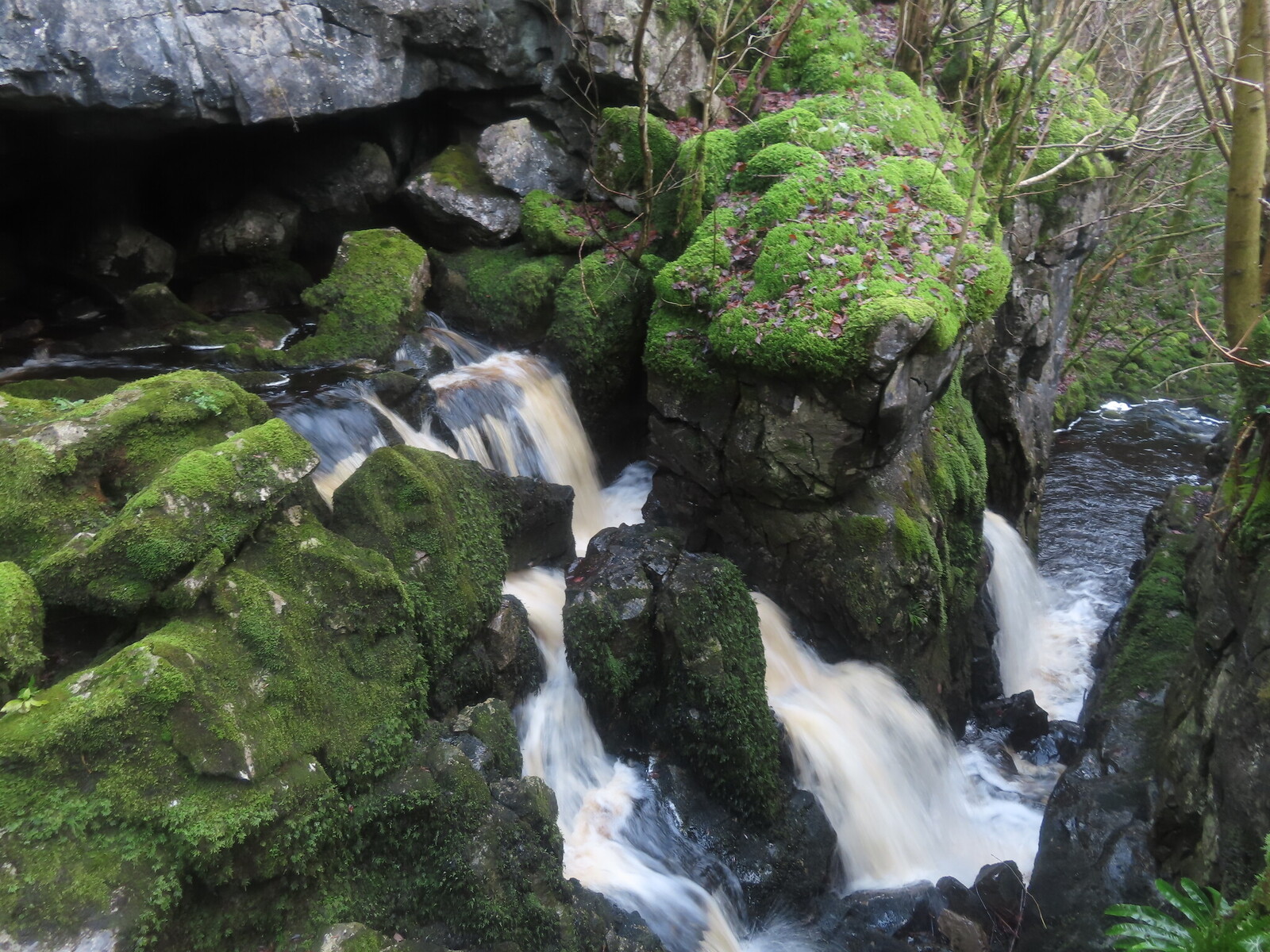 Birkwith Cave