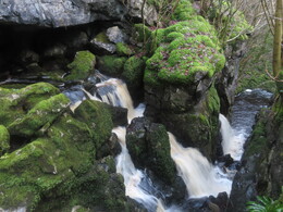 Birkwith Cave