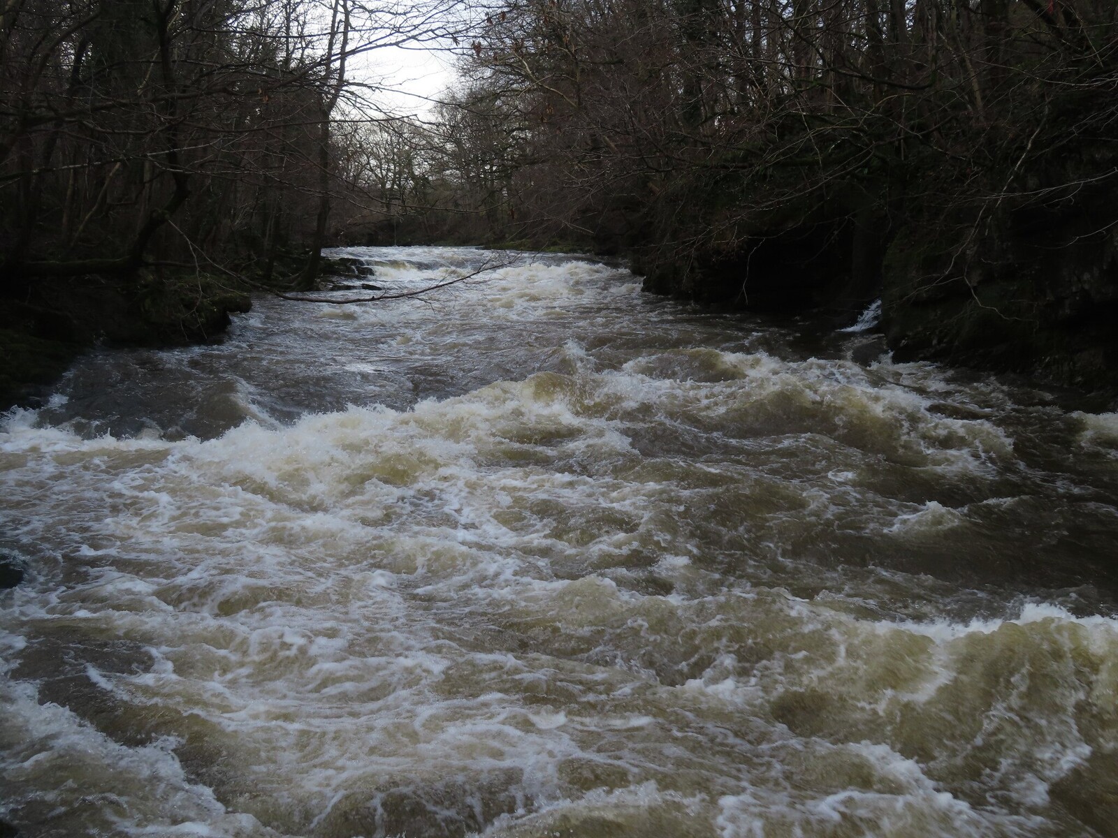 Kent river, 01/01
