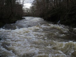 Kent river, 01/01