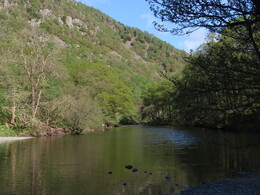 Derwent river