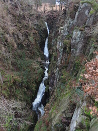 Stanley Force